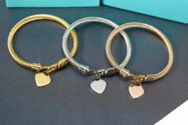 Picture of Tiffany Bracelet _SKUTiffanybracelet06cly7315260